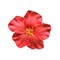 1Pc Red Hawaiian Flower Hair Clip Bohemian Flowers Hair Accessory